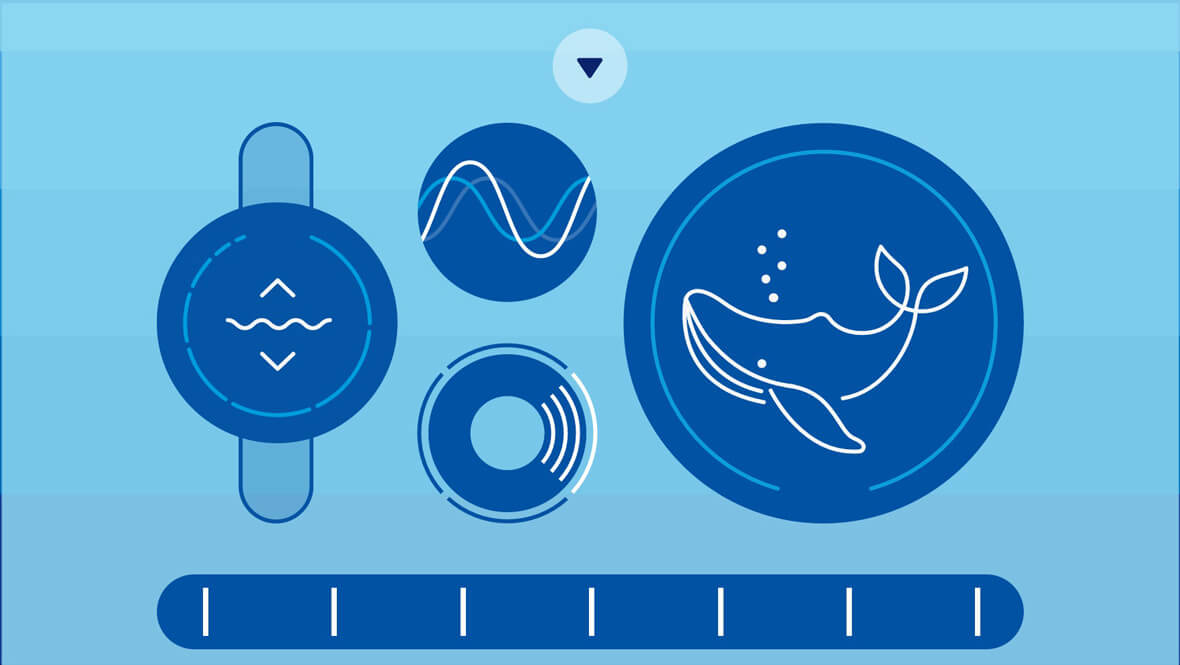 This Browser Synth Lets You Make Whale Sounds