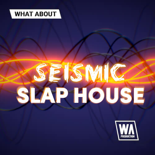 https://www.adsrsounds.com/wp-content/uploads/2022/07/W.-A.-Production-What-About-Seismic-Slap-House-Artwork.jpg