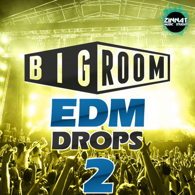 Big Room EDM Drops 2
