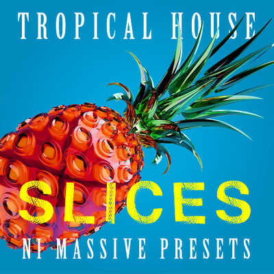 Slices - Tropical House Presets for NI Massive