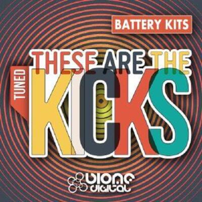 These Are The Kicks (Battery Kits)