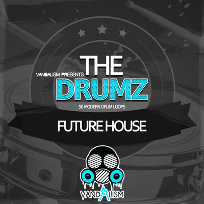 The Drumz: Future House