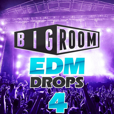 Big Room EDM Drops 4