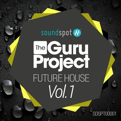 The Guru Project - Future House Vol 1