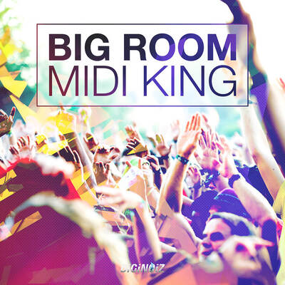 Big Room Midi King