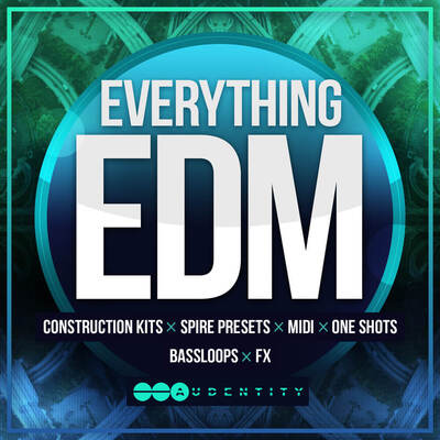 Audentity- Everything EDM