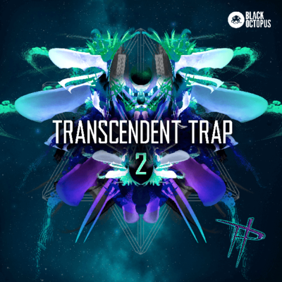 Transcendent Trap 2 - By Paradigm Theorem