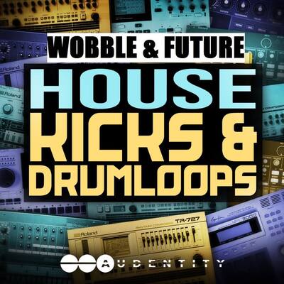 Audentity - Wobble Future House Kicks & Drumloops