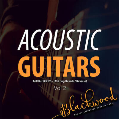Acoustic Guitars 2