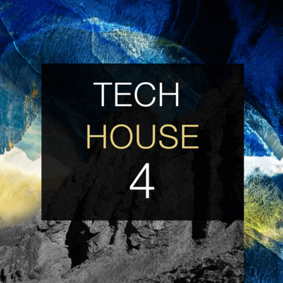 Tech House 4
