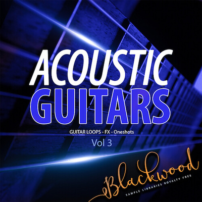 Acoustic Guitars 3