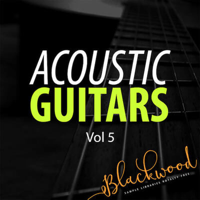 Acoustic Guitars 5