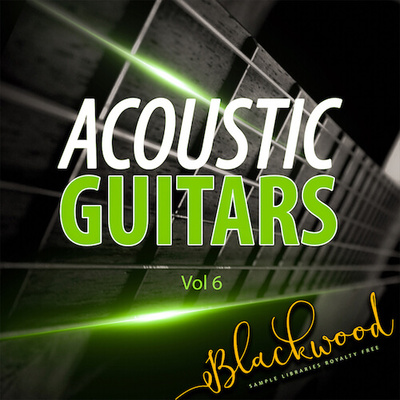 Acoustic Guitars 6