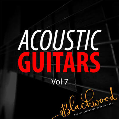 Acoustic Guitars 7
