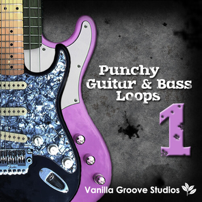 Punchy Guitar & Bass Loops Vol 1