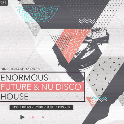Enormous Future & Nu Disco House