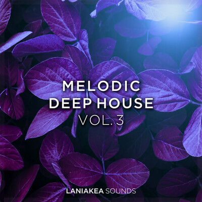 Melodic Deep House Vol. 3