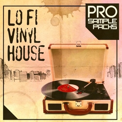Vinyl Lo Fi House