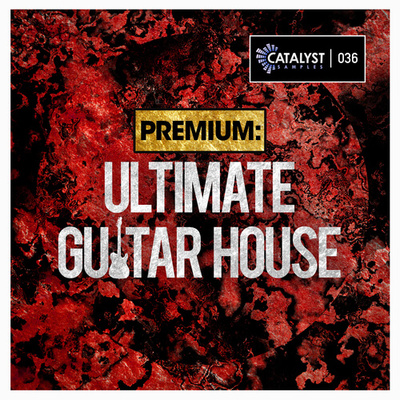 Premium: Ultimate Guitar House