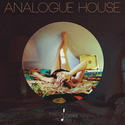 Analogue House