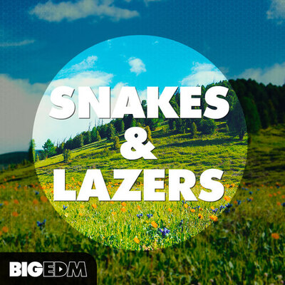 Snakes & Lazers
