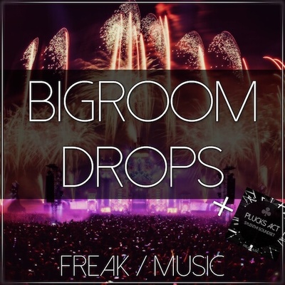 Bigroom Drops