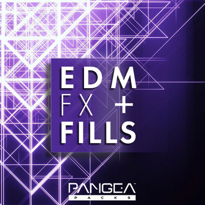 EDM FX & Fills