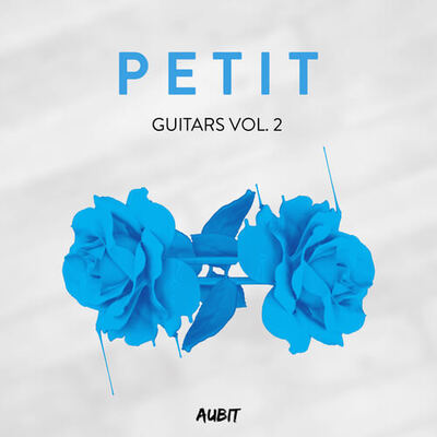 Petit Guitars Vol. 2