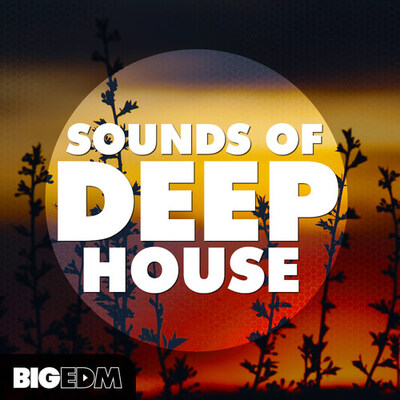 Sounds Of Deep House
