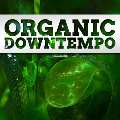 Organic Downtempo