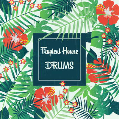 Tropical House Drums