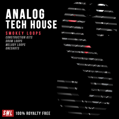Analog Tech House