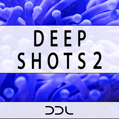 Deep Shots 2