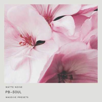 PB-Soul