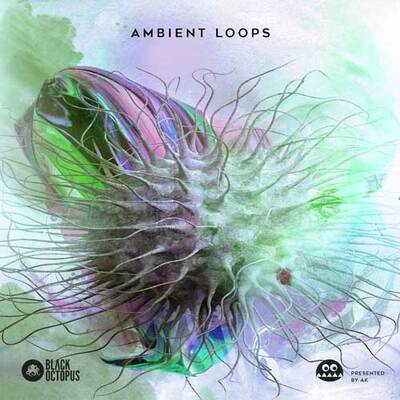Ambient Loops by AK