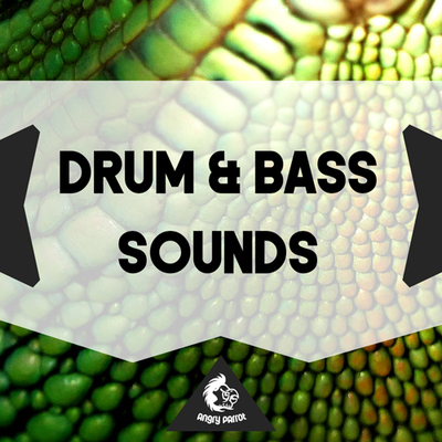 Drum & Bass Sounds