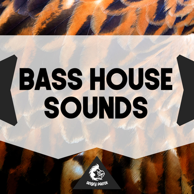 Bass House Sounds