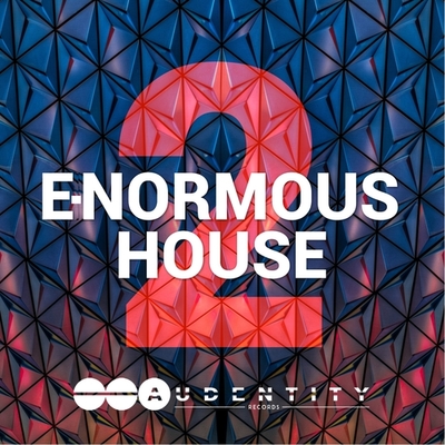 E-Normous House 2