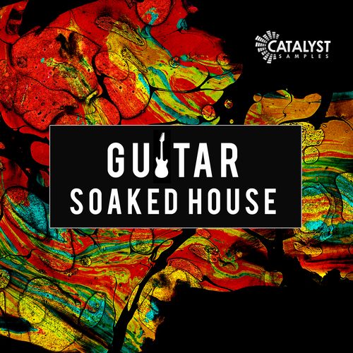 Guitar Soaked House