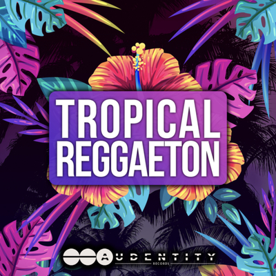Tropical Reggaeton