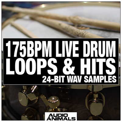 175 BPM Live Drum Loops & Hits