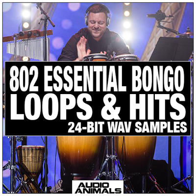 802 Essential Bongo Loops & Hits