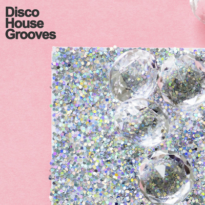 Disco House Grooves