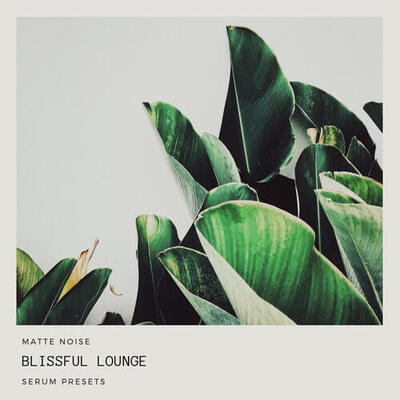 Blissful Lounge for Serum