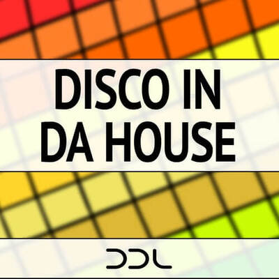 Disco In Da House