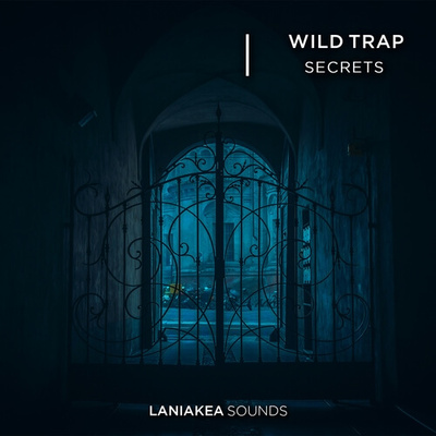 Wild Trap Secrets