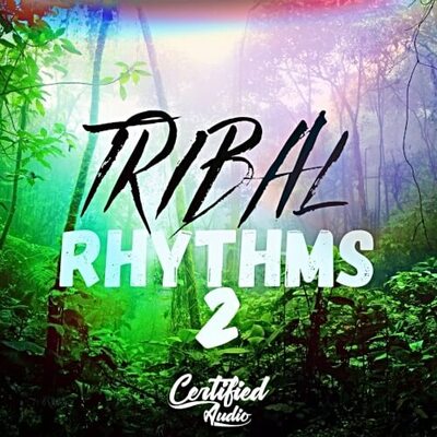 Tribal Rhythms 2