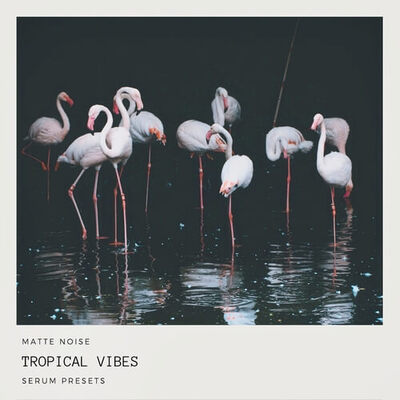 Tropical Vibes - Serum