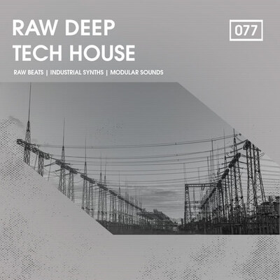 Raw Deep Tech House