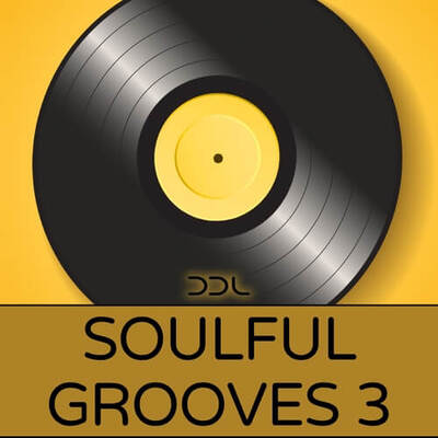 Soulful Grooves 3